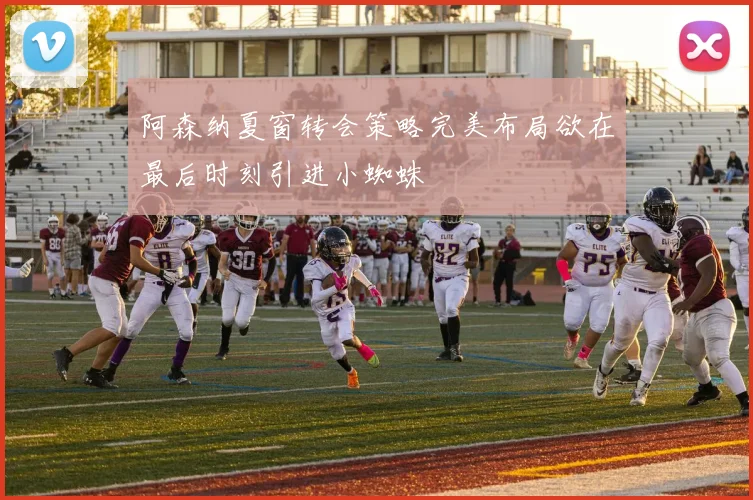 阿森纳夏窗转会策略完美布局欲在最后时刻引进小蜘蛛